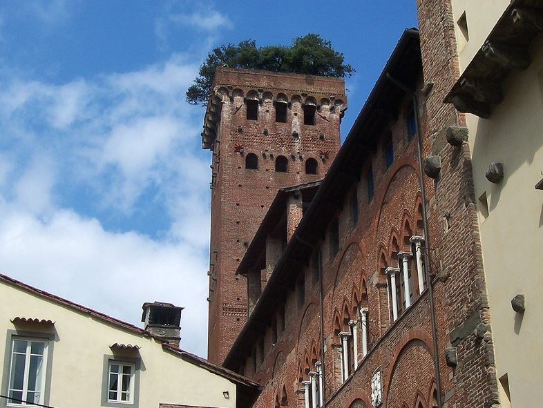 Torre Guinigi in Lucca