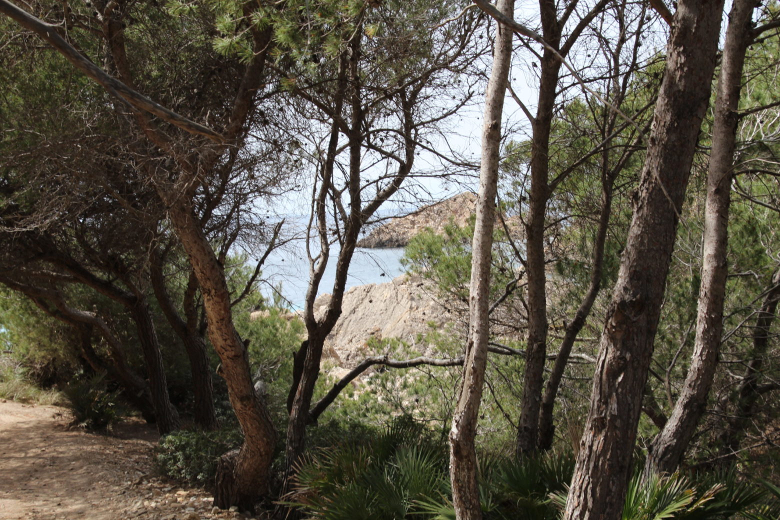 Mallorca im Winter: 7 Tipps für besten Inselgenuss 3